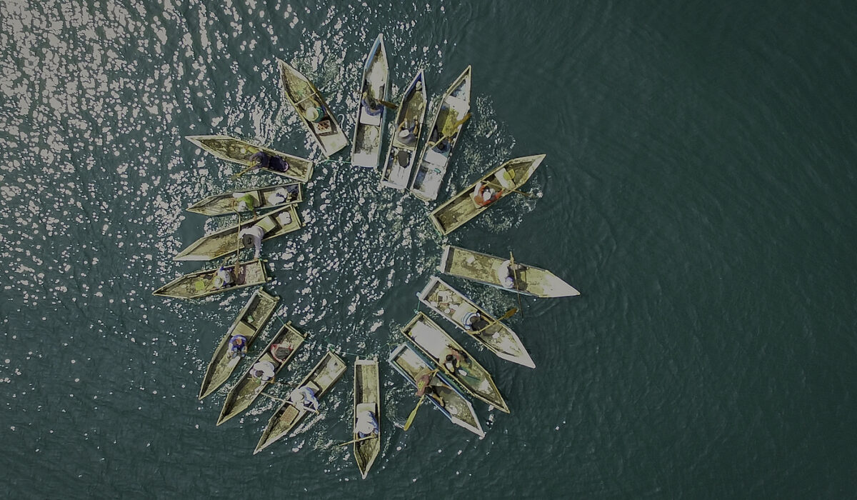Cuatro artistas guatemaltecos exponen en la Bienal de São Paulo