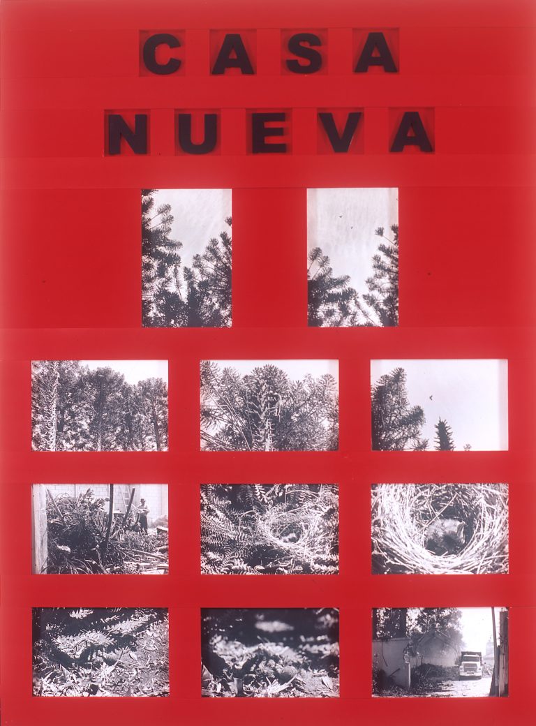 Casa Nueva – Lourdes de Menéndez