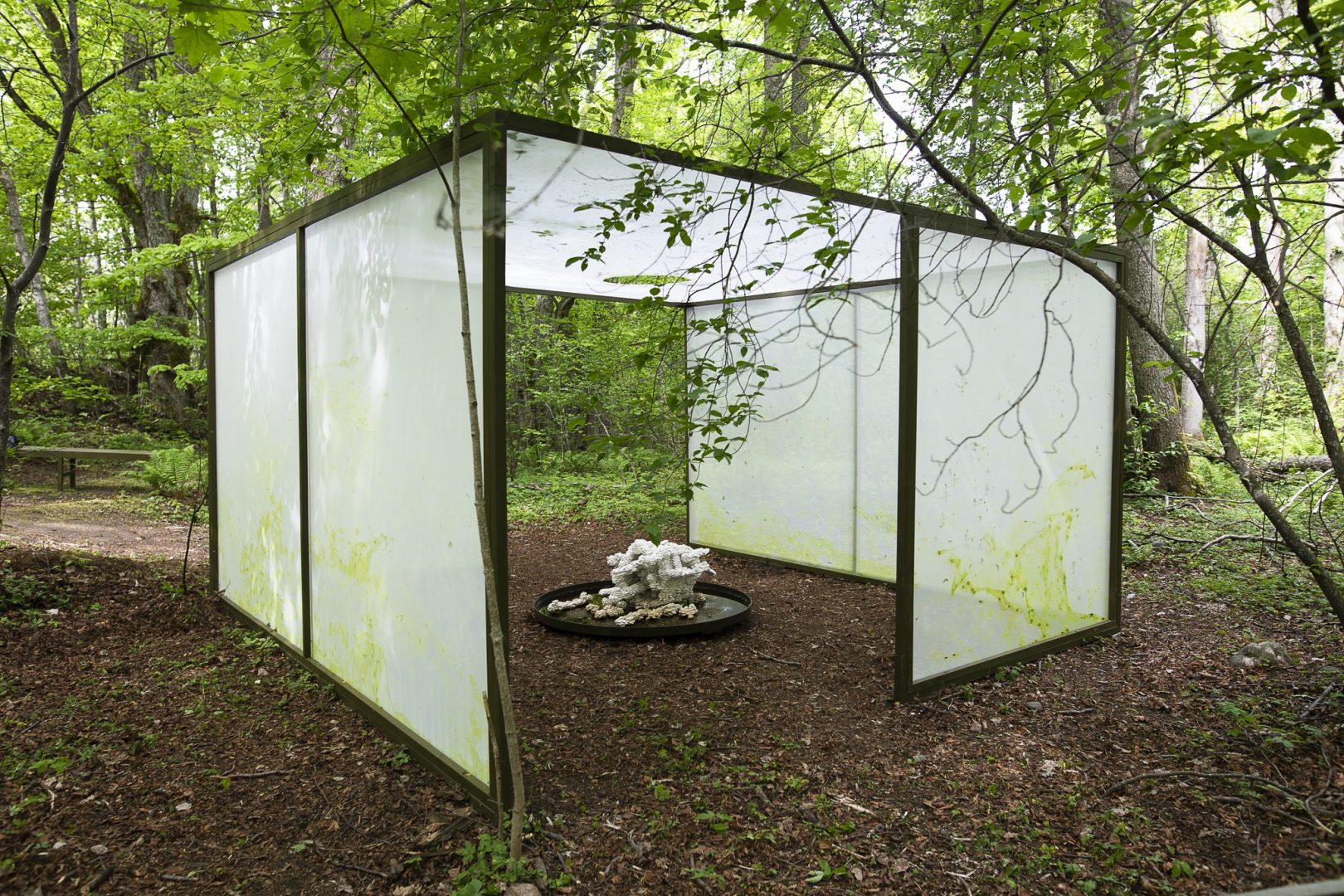 'coadapted with', obra de Alma Heikkilä en la 23ª Bienal de Helsinki. (Foto: Kirsi Halkola)