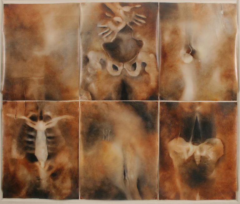 Salve Cara Pens – Diana Lissette de Solares