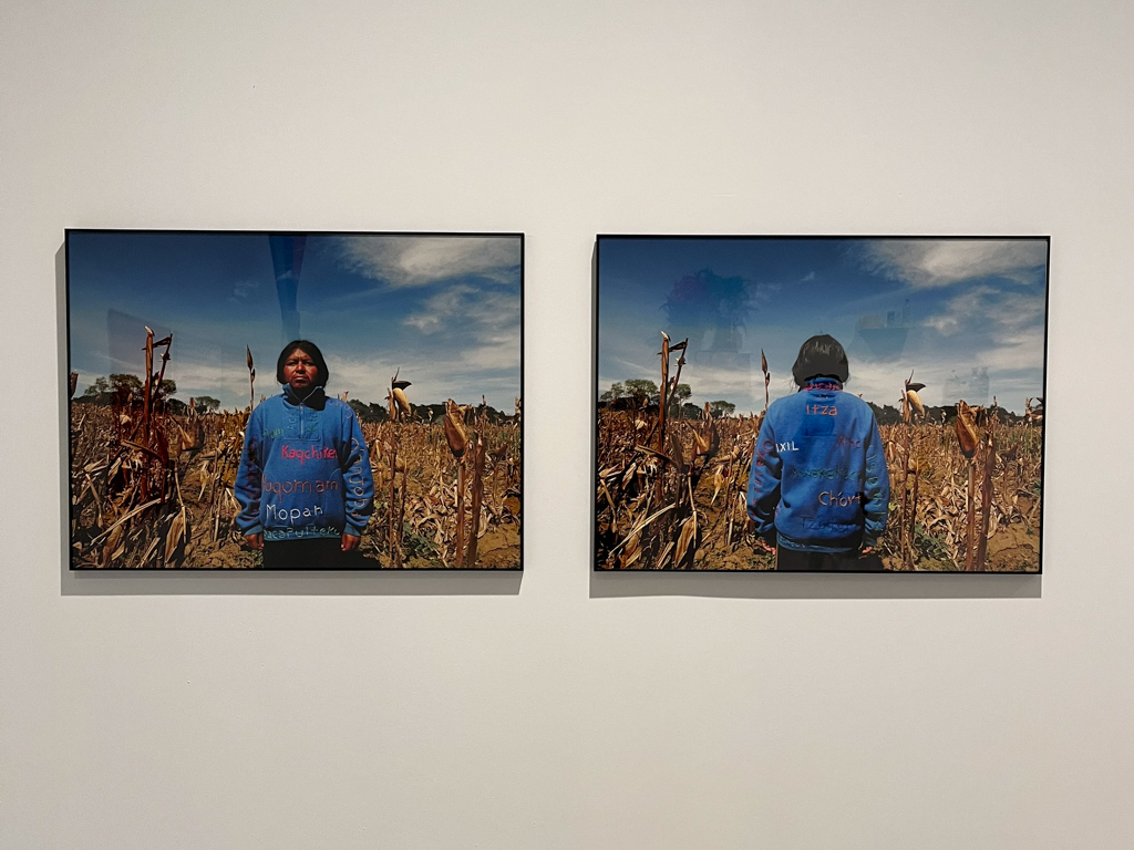 ‘Hombres de Maíz’: Una colección de arte maya viviendo en el Museo Reina Sofía