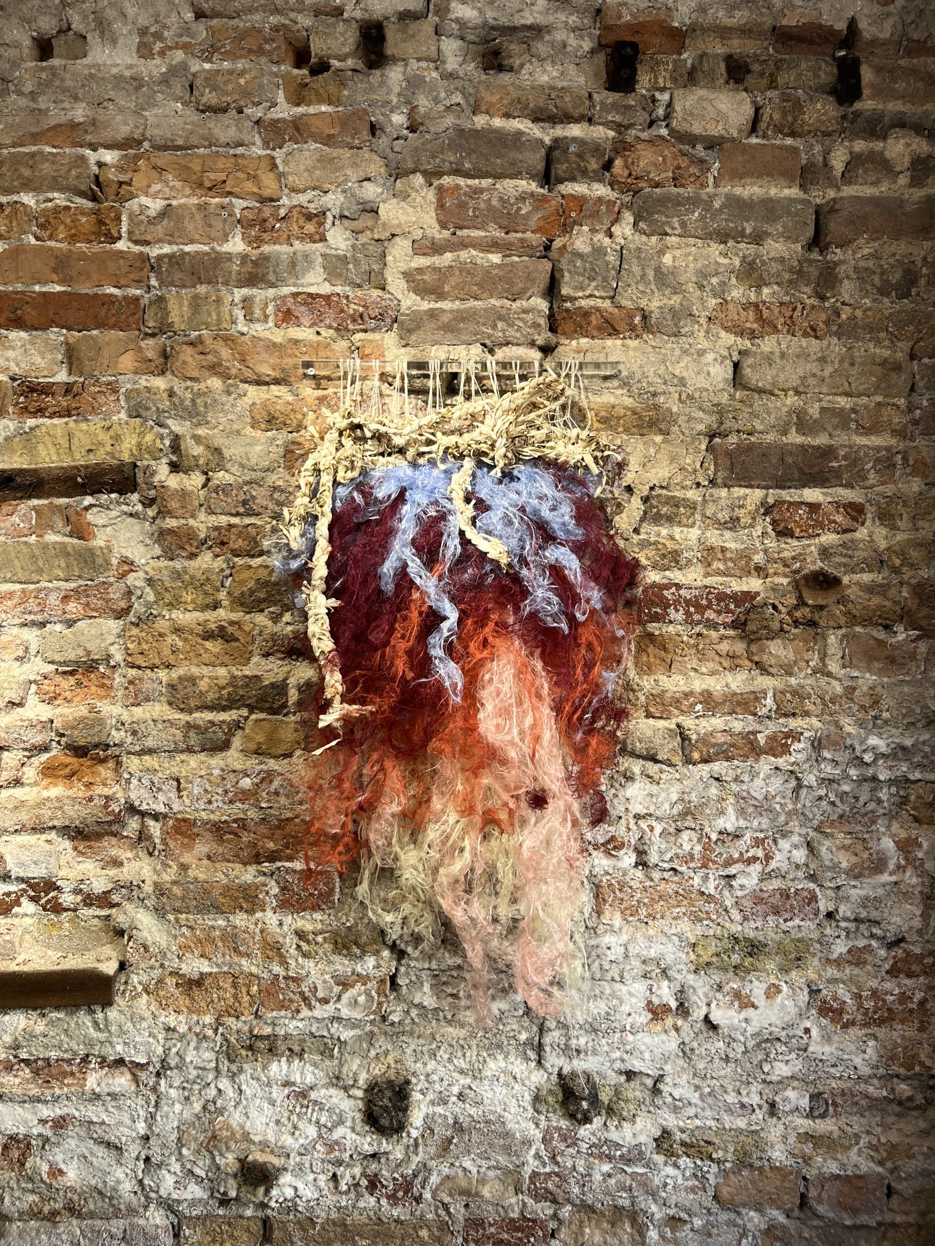 Zoila Andrea Coc-Chang - 'Llamas'